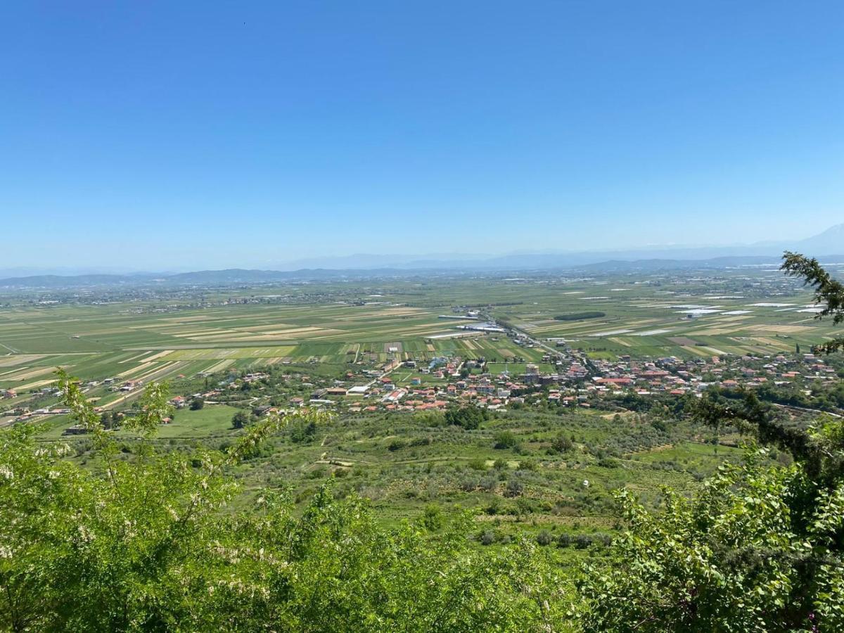 Ardenica Boutique Hotel Lushnjë Esterno foto