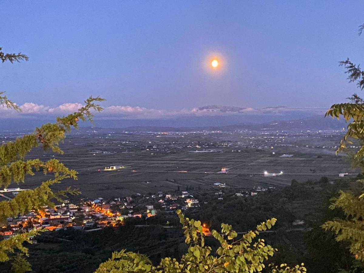 Ardenica Boutique Hotel Lushnjë Esterno foto