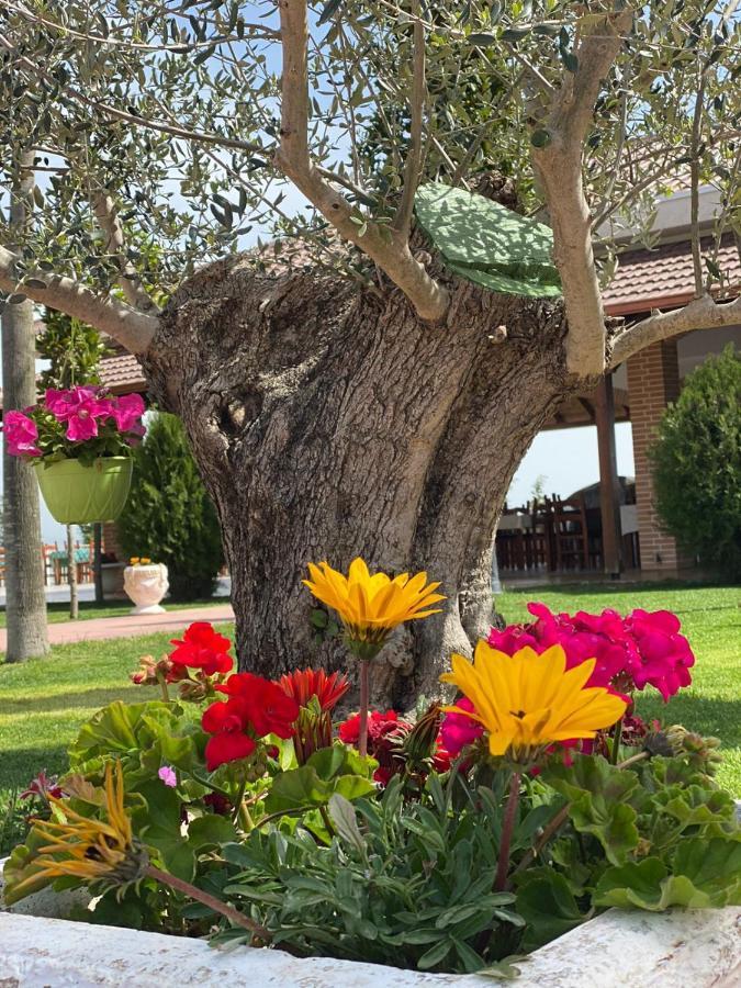 Ardenica Boutique Hotel Lushnjë Esterno foto